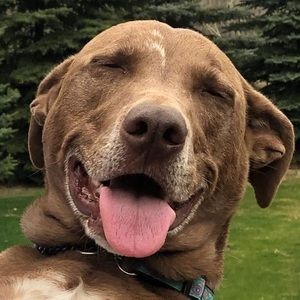 Meet your Posher, Sherri